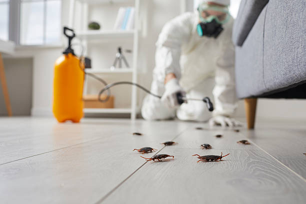 Commercial Kitchen Cockroach Control in Blauvelt